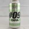 #09 DIPA logo