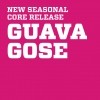 Collective Arts Guava Gose logo