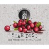 Star Dust logo