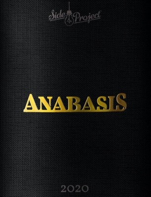 Photo of Side Project - Double Barrel Anabasis (2020)