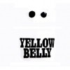 Photo of Yellow Belly