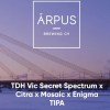 Āpus TDH Vic Secret Spectrum x Citra x Mosaic x Enigma TIPA logo