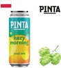 Pinta Hazy Morning logo
