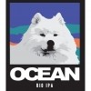 Ocean Rio IPA logo