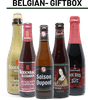 Mystery Beer Bundle: Belgian Classics logo