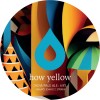 Polly's How Yellow IPA logo