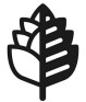 Shoulda Wooda Coulda logo
