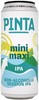 Mini Maxi IPA logo