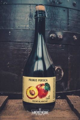 Photo of Prunus Persica – Pêche de Vigne