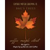Coffee Maple Barrel Stout Bourbon Barrel Aged Maple Syrup Imperial Stout 2020 logo