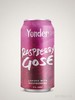 Yonder Brewing & Blending - Raspberry Gose logo