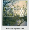 TDH Citra Lupomax x Citra Cryo DIPA logo