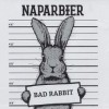 Bad Rabbit logo